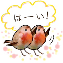 使える 小鳥の日常会話