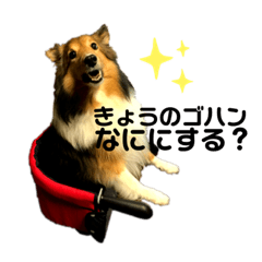 chihiro_20210125110443