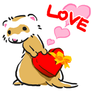 Ferret lovers