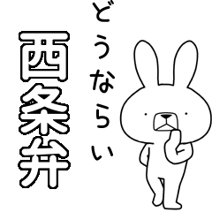 BIG Dialect rabbit[saijo]