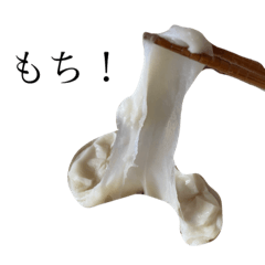 hiyori_20210125192237