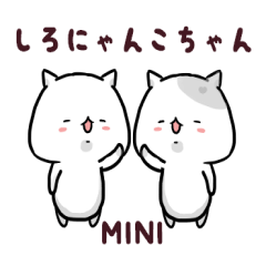 white catchan mini