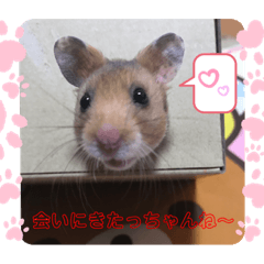 YUKINA_20210125222728