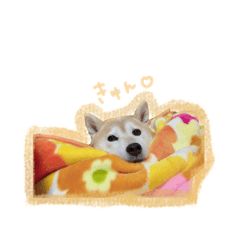 marumaru_20210125222458