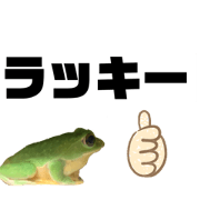 Kaerukerokero_20210126091634