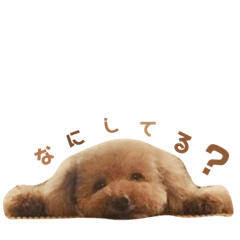 chihiro_20210125183958
