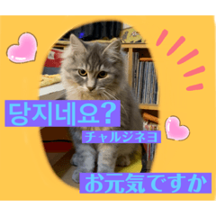 Tinytot_20210125135726