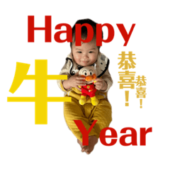 Joey Chinese New Year