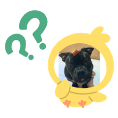 黑碳的慵懶日誌