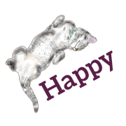 singingcatsuzy_20210126133806