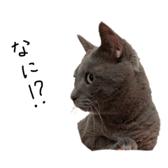 Yamada_20210126140224