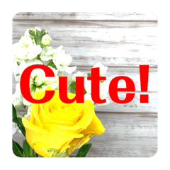 Flowers and large letter stickers