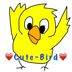 Cute-Bird