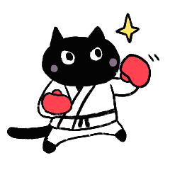 Martial Arts Cat (black cat)