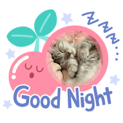 RINA_20210126163020