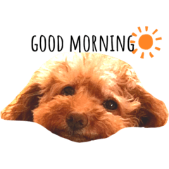 chihiro_20210126172530