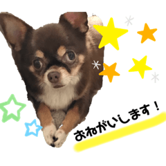 saki1028_20210126181832