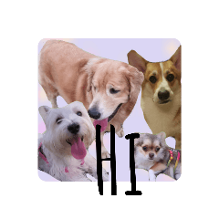 melon_20210126094722