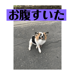 hANA_20210126185442