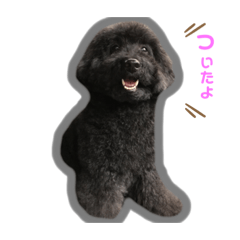 Natsumi_20210126194325