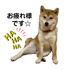 omochi_20210126220347