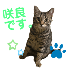 CHiYO_20210127005326