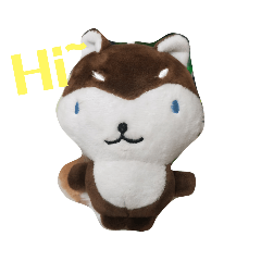 小狸的日常好快樂！