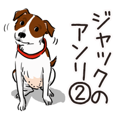 Jack Russell Terrier Henry 2