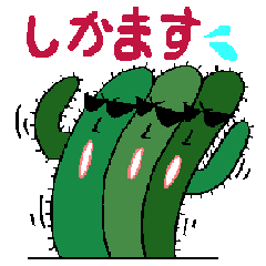 cactus okinaa dialect