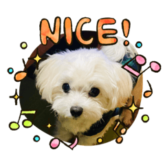 junko_20210127022051