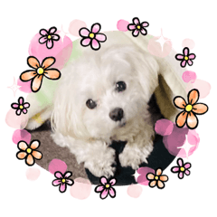 junko_20210127035632