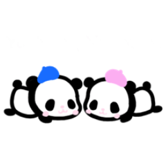 February 14th panda