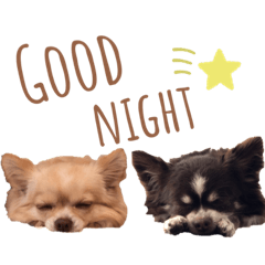 nagisa_20210127074733