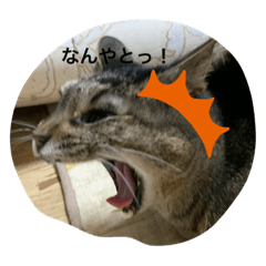 HIKARI_20210127081015