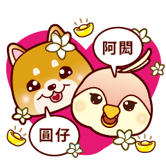 The Shiba Inu and Pink Parrot