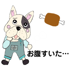 Bull-kun, The fashionable French Bulldog