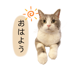 Rina_20210127122736
