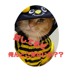 yuka_20210127150700