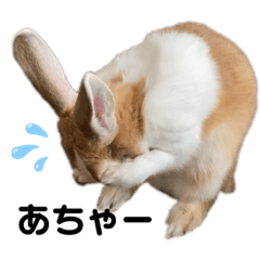 sayuri_20210127075507