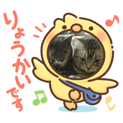 yukari_20210127153905