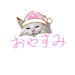 Neko_20210127165651