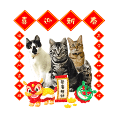 貓咪拜年精選