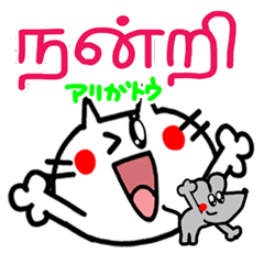 Tamil language. New cute cat.