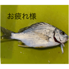 YUTO_20210127190845