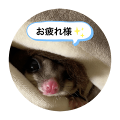 yuka_20210127211638