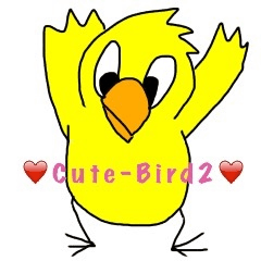 Cute-Bird2