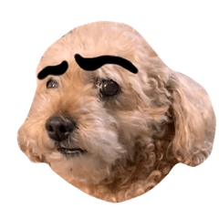 yamada_20210128013640