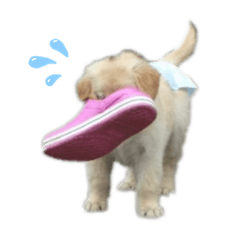 raika_20210128014013