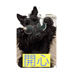 肥狗kuro第二彈（日常用語篇）
