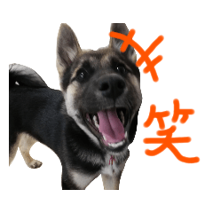 Yukari_20210127184651